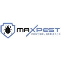 Max Spider Control Brisbane image 1